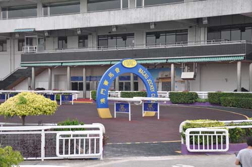 赛马场无线传输现场 赛马场无线传输现场