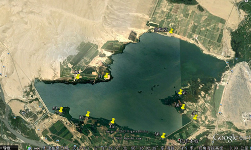 查看实际地图观察环境 查看实际地图观察环境