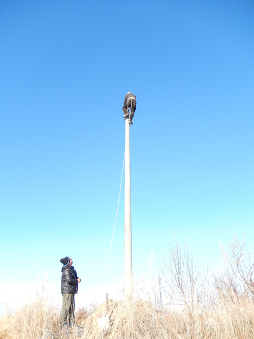 技术人员在安装监控设备 技术人员在安装监控设备