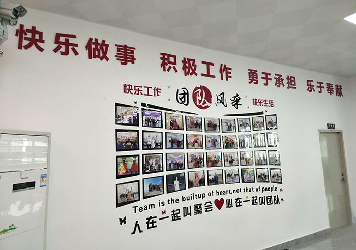 云顶集团文化墙