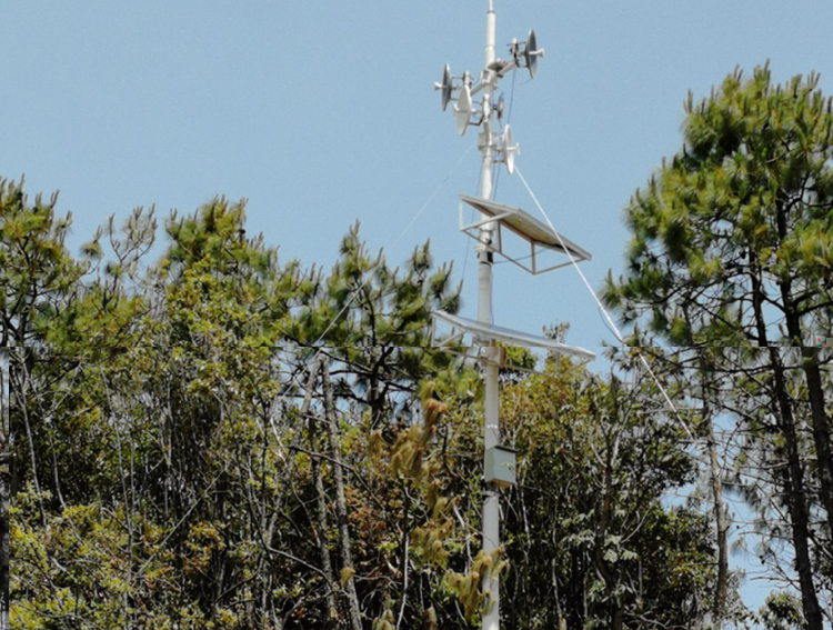 无线传输系统助力森林防火