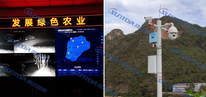 云顶集团现场图 云顶集团现场图