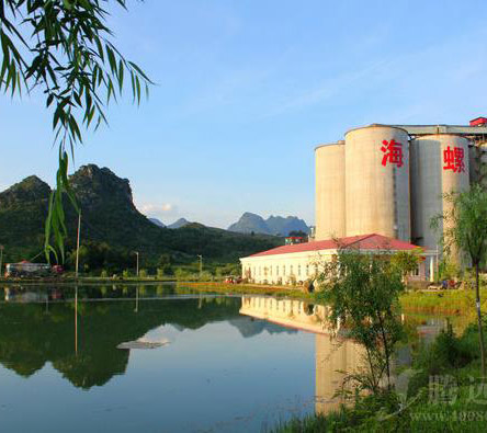 广东清新海螺水泥厂无线传输方案