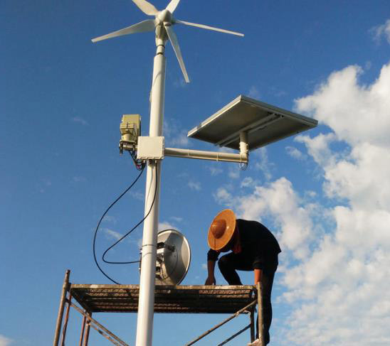 漩门湾国家湿地公园无线传输系统成功案例