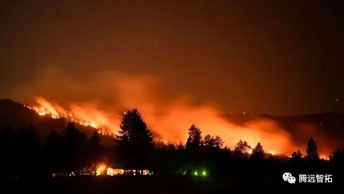 森林火灾 森林火灾
