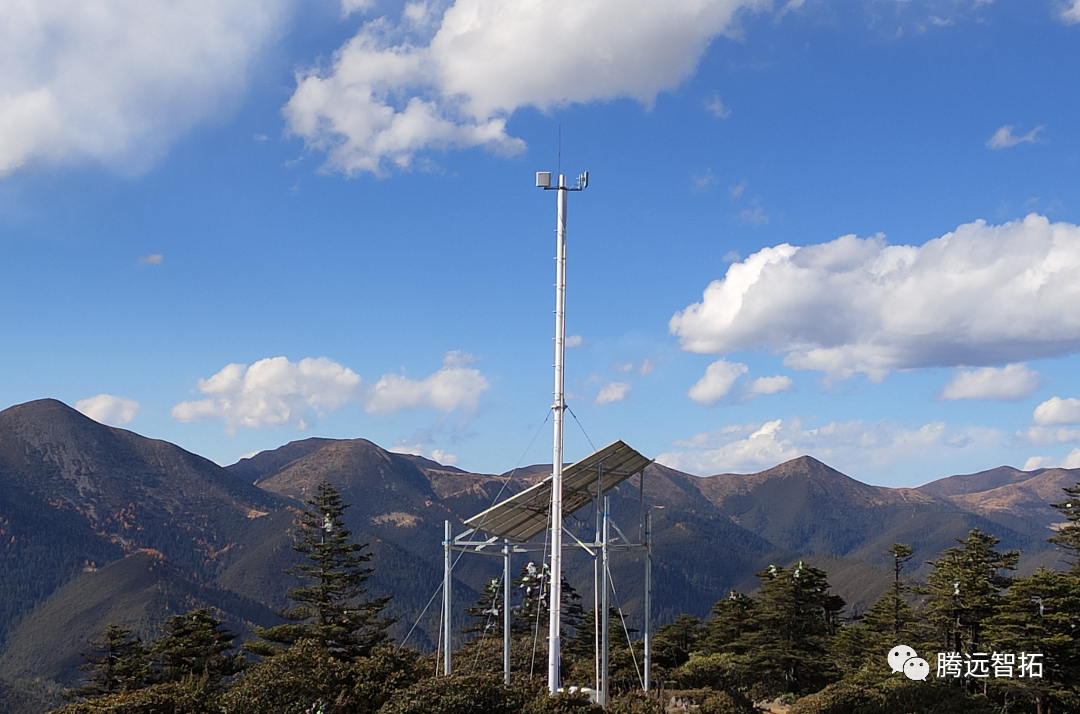 应急布控 | 保护珍稀动植物，腾远有责！