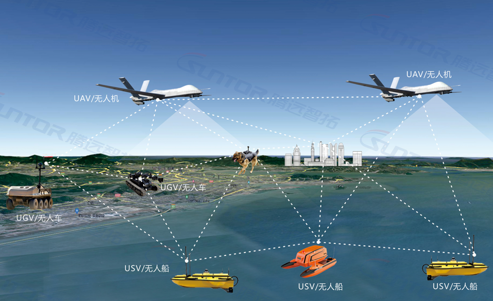 云顶集团自组网
