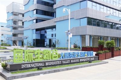 深圳市大鹏新区国际生物谷 深圳市大鹏新区国际生物谷